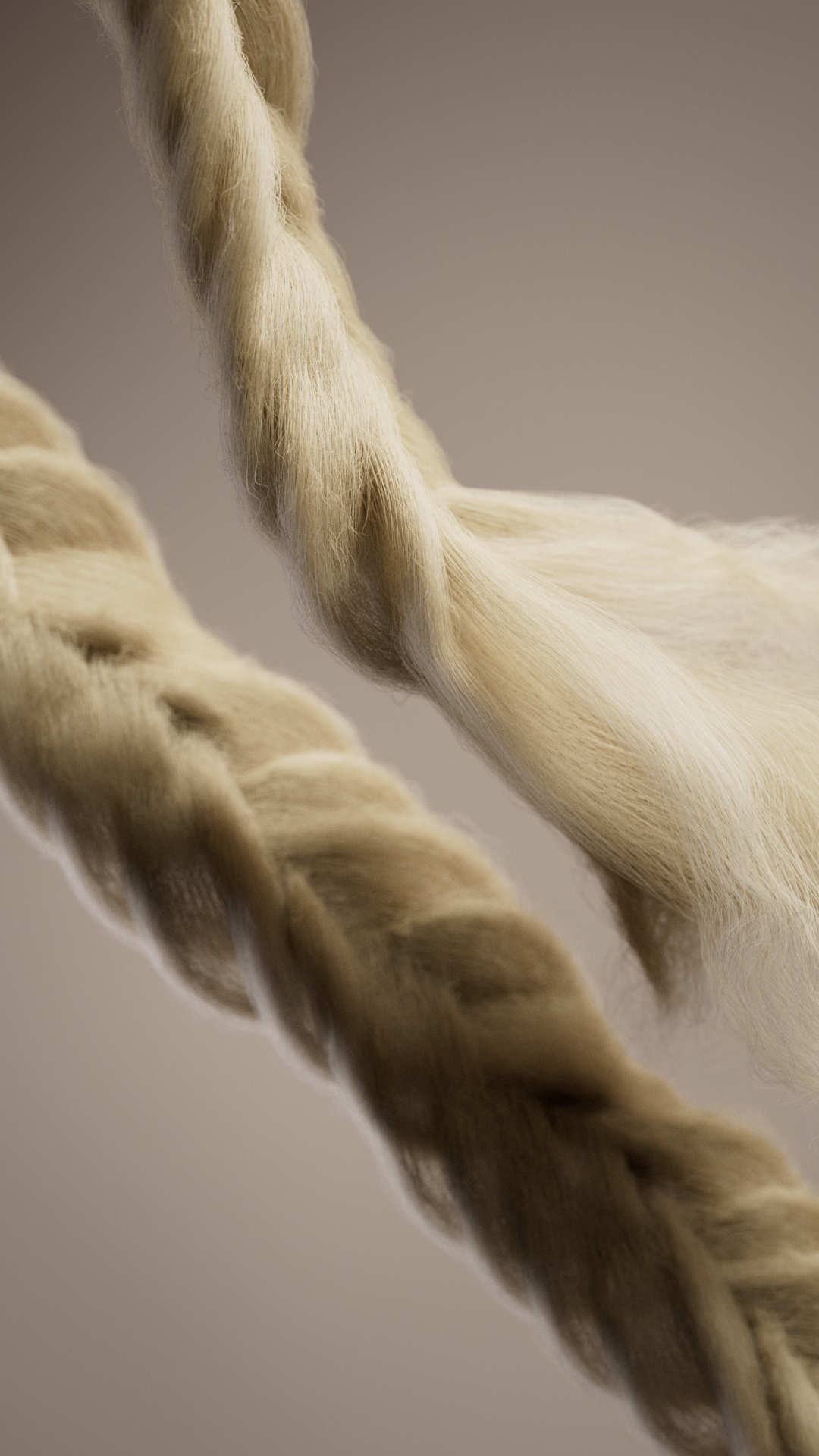 SH020_BraidCurve_DM0011_f025_cam2
